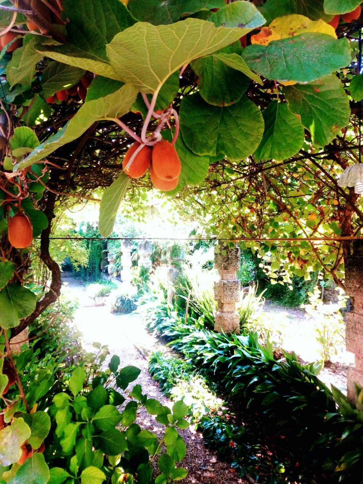 Oddi21 B&B Albenga Exterior photo